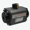 Pneumatic Rotary Actuator CH-Series